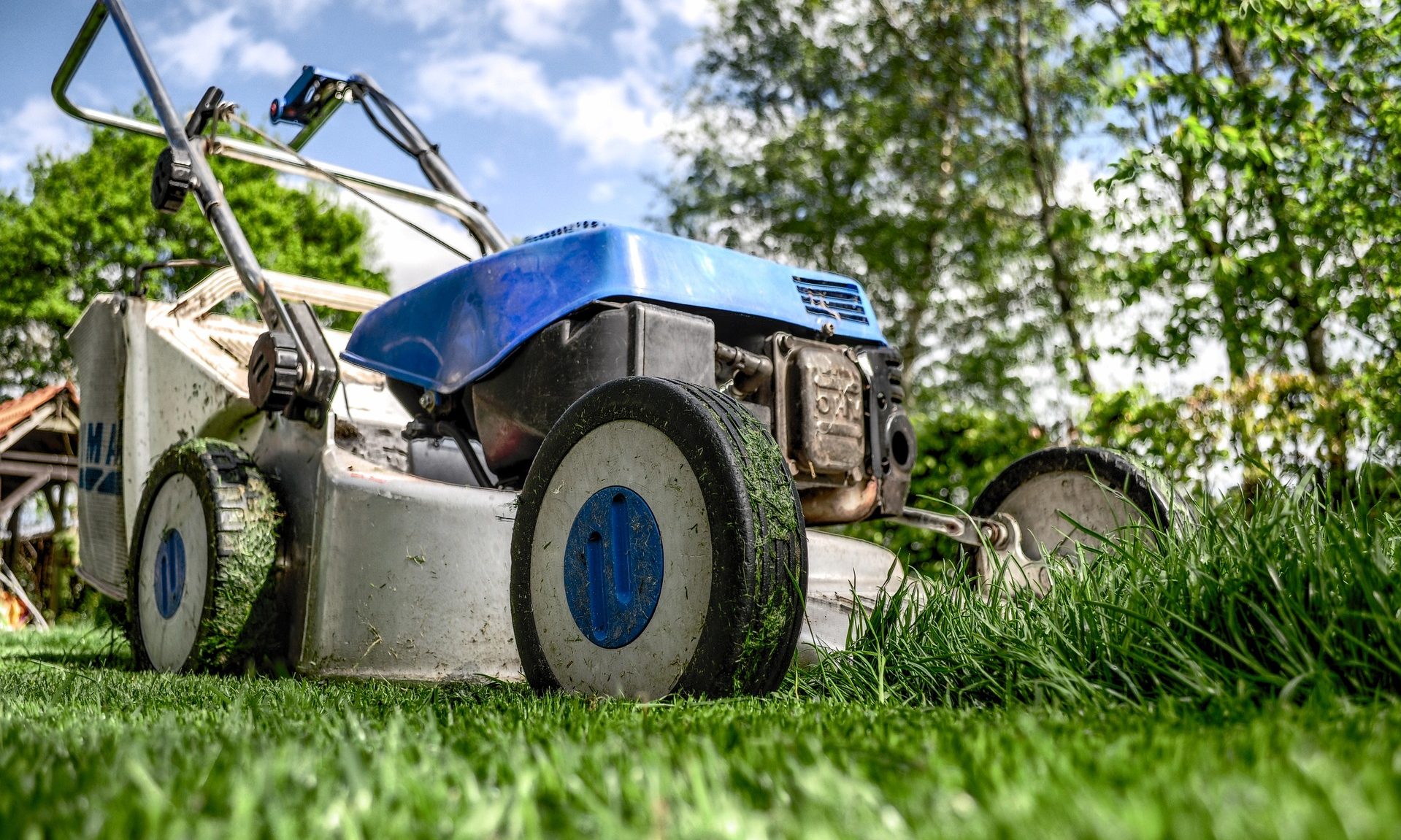 cropped-lawn-mower-384589_1920.jpg